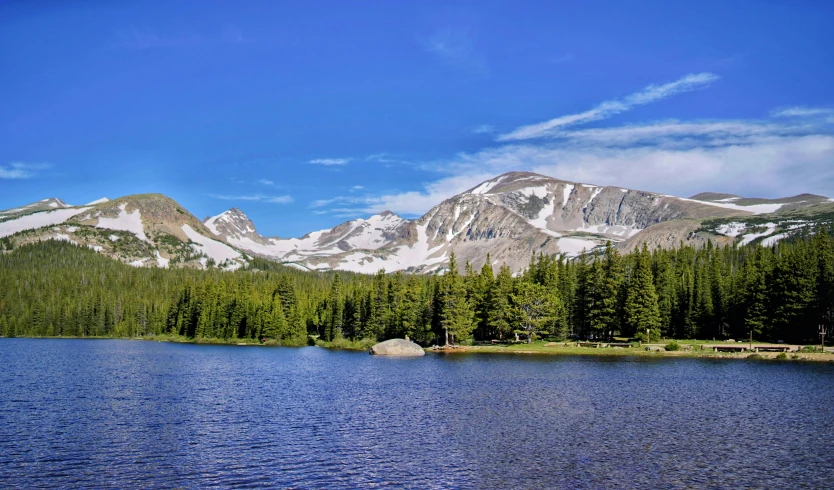 some trees and water and a mountain range