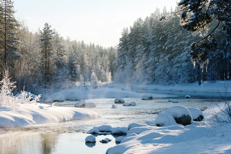 some water some snow trees and rocks and a body of water