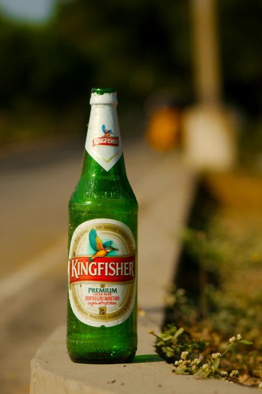 a green beer is sitting on the curb