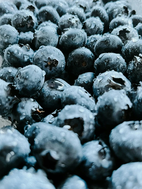 a large pile of frozen blueberries on a table