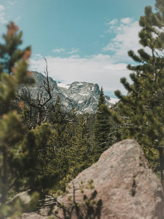 a view from behind some trees on a mountain side