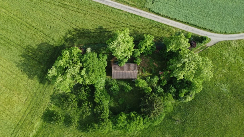 an aerial po of a house nestled in a field of grass