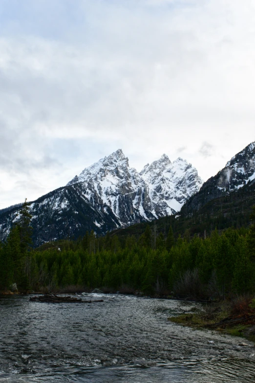 a stream and mountain range are shown in the background