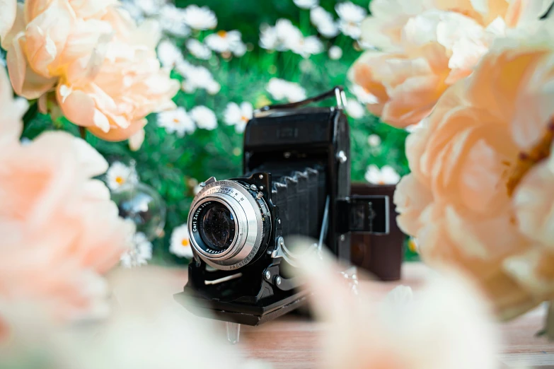 an old camera is sitting in front of flowers