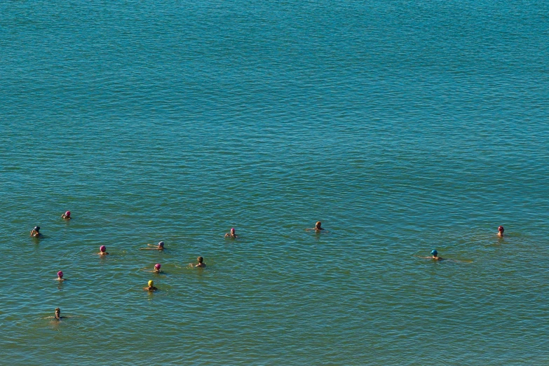 a group of people swimming in a body of water