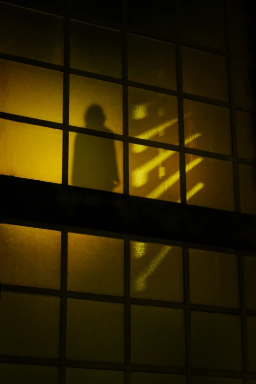 a shadow of a person standing next to a rail on a street light