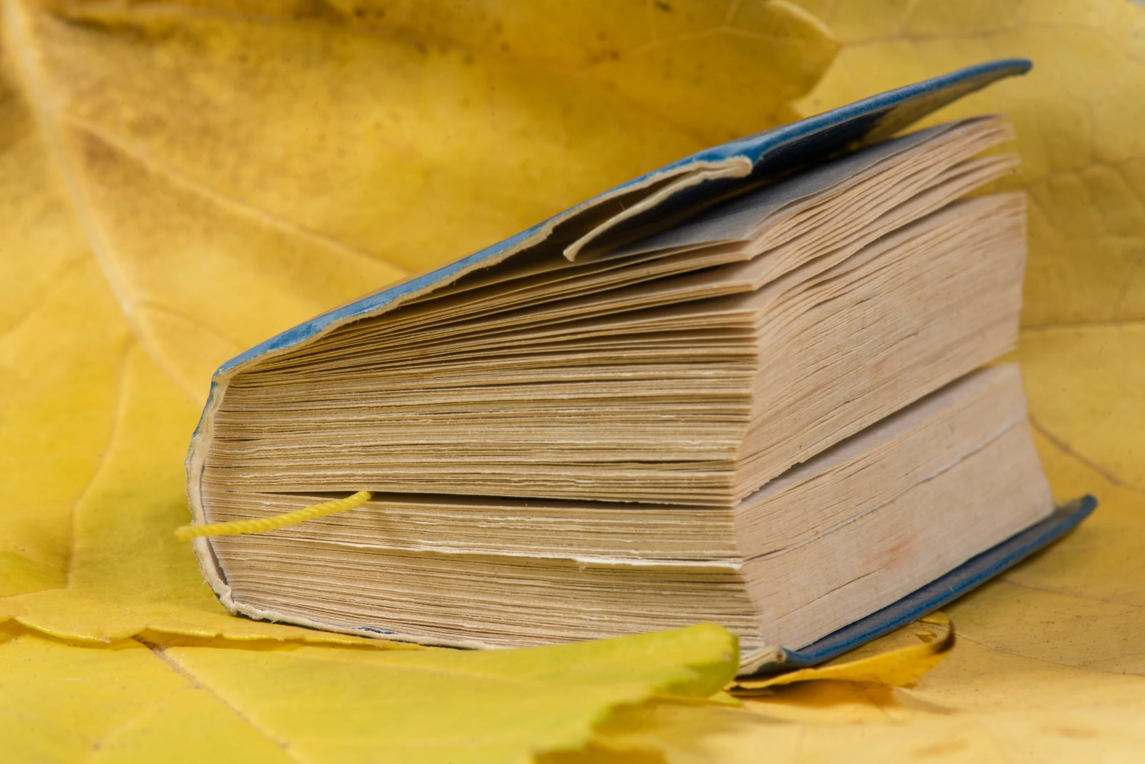 an open book sitting on top of a pile of paper