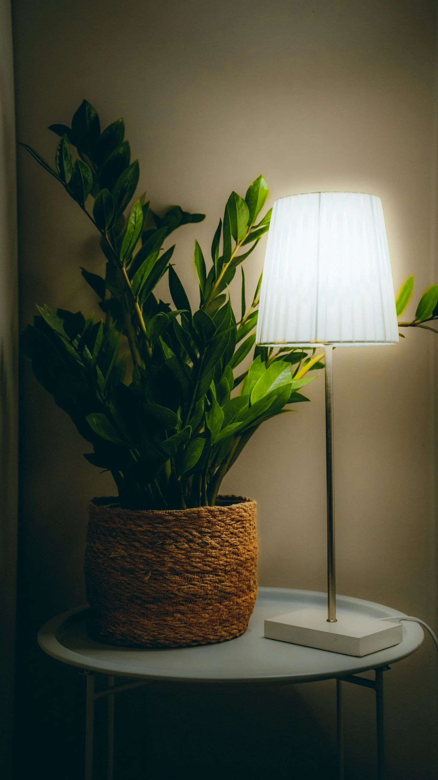 a table with a lamp and a plant