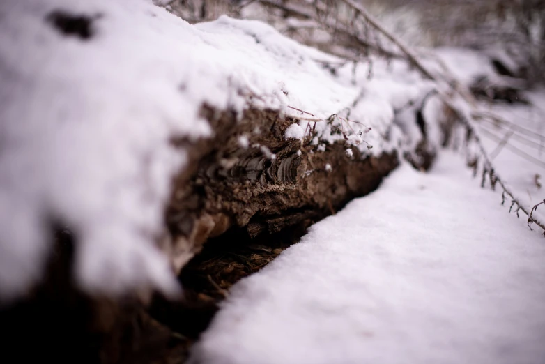 a view through some kind of fence in the snow