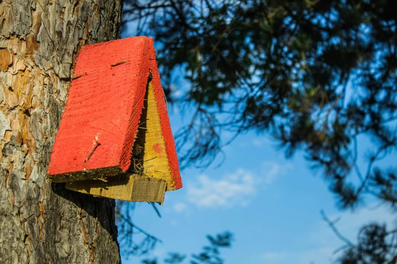 a bird house that is attached to a tree