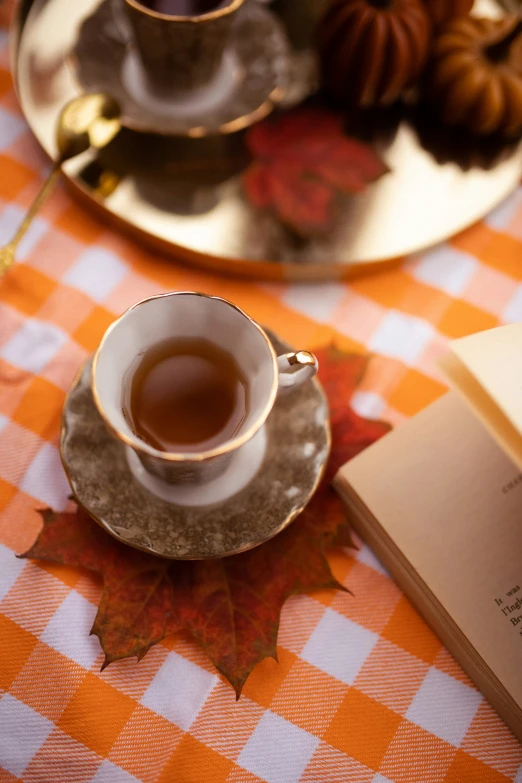 a book, cup of tea, and plate sit on a table