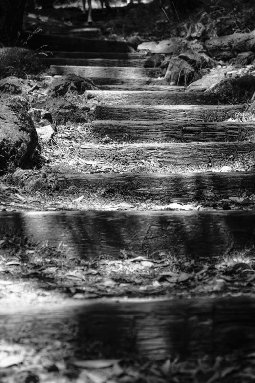 a black and white po of the ground and some water