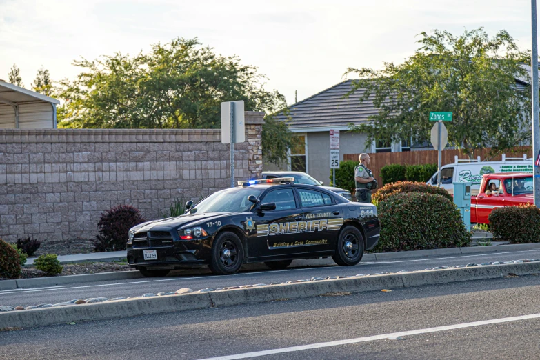 a police car parked on a curb near some bushes