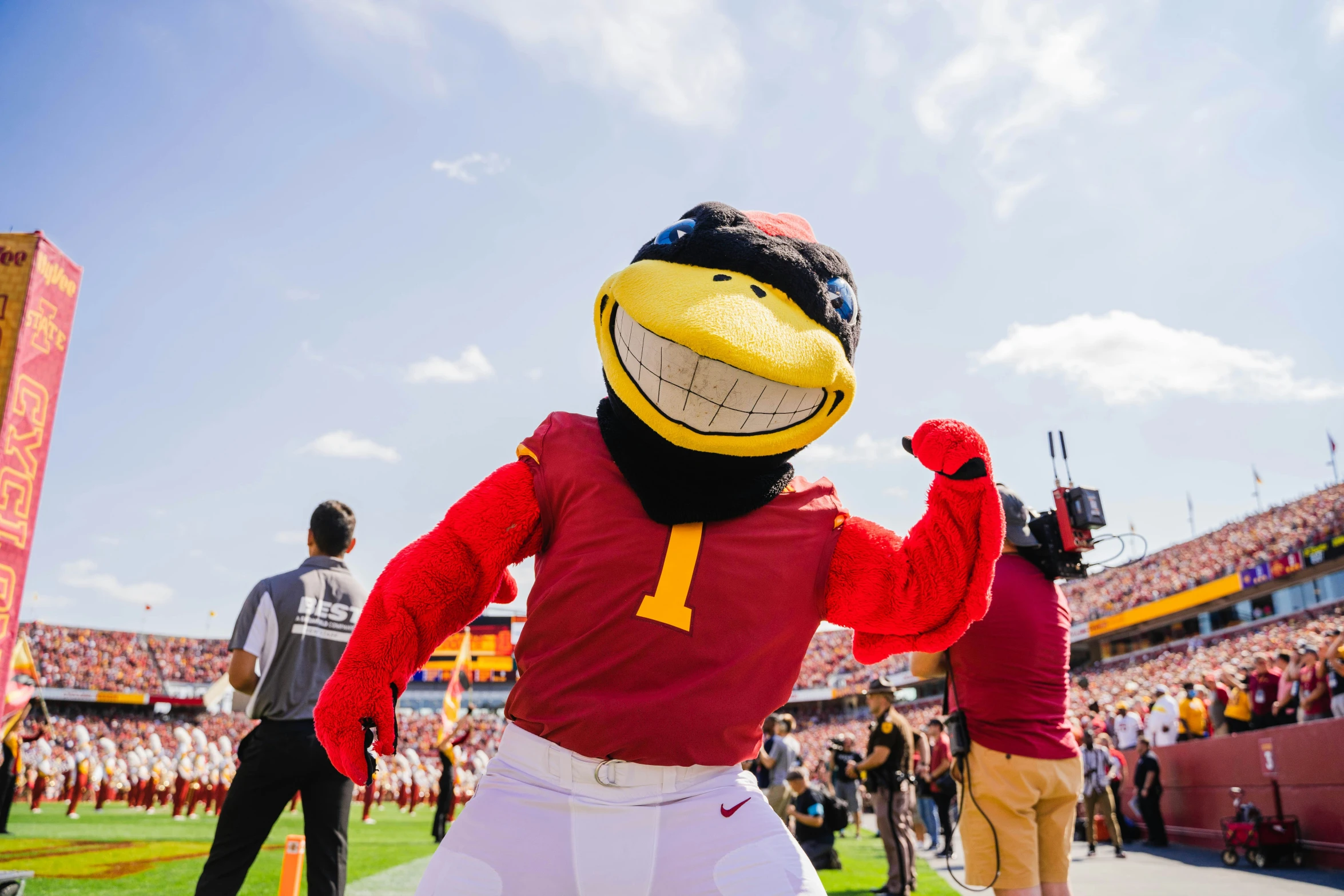 a man wearing a mascot costume on a football field