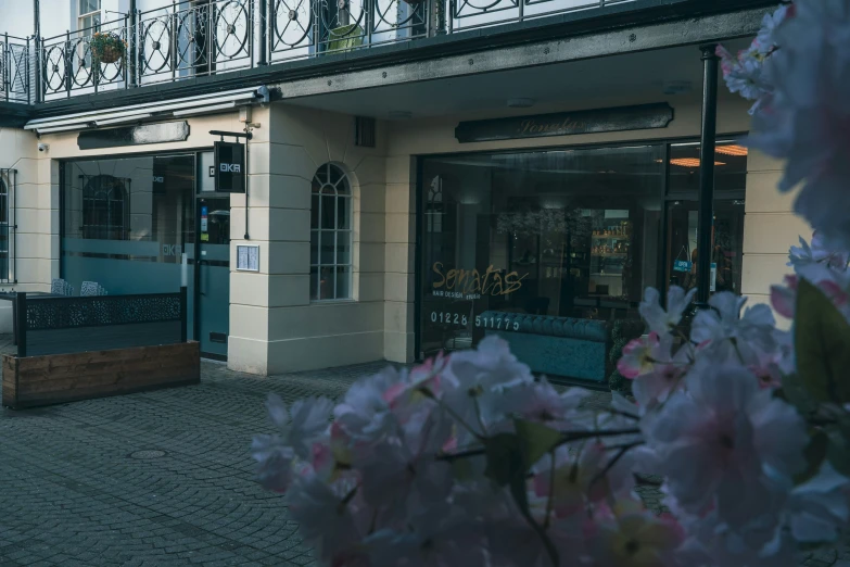 flowers outside of an upscale looking building with glass balconies