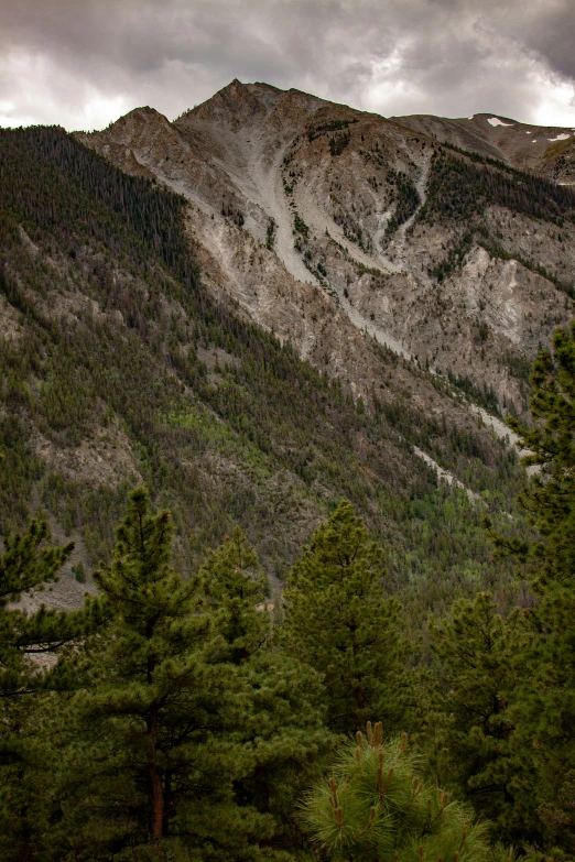 a view of some mountains with trees under them