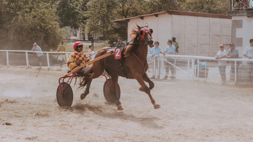 a person is being pulled in a cart by a horse