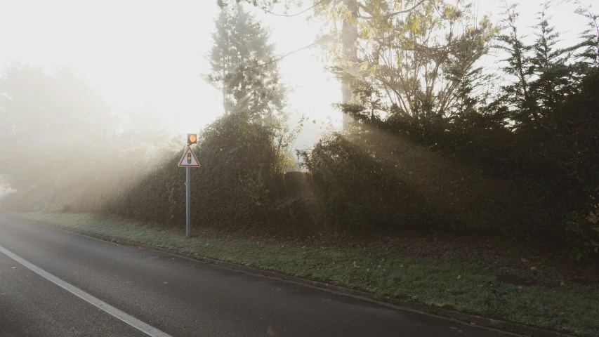 a foggy day is going down a street by trees