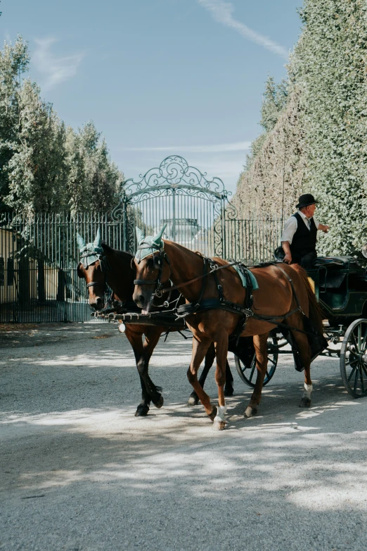 two horses walking down the road and one being pulled by another