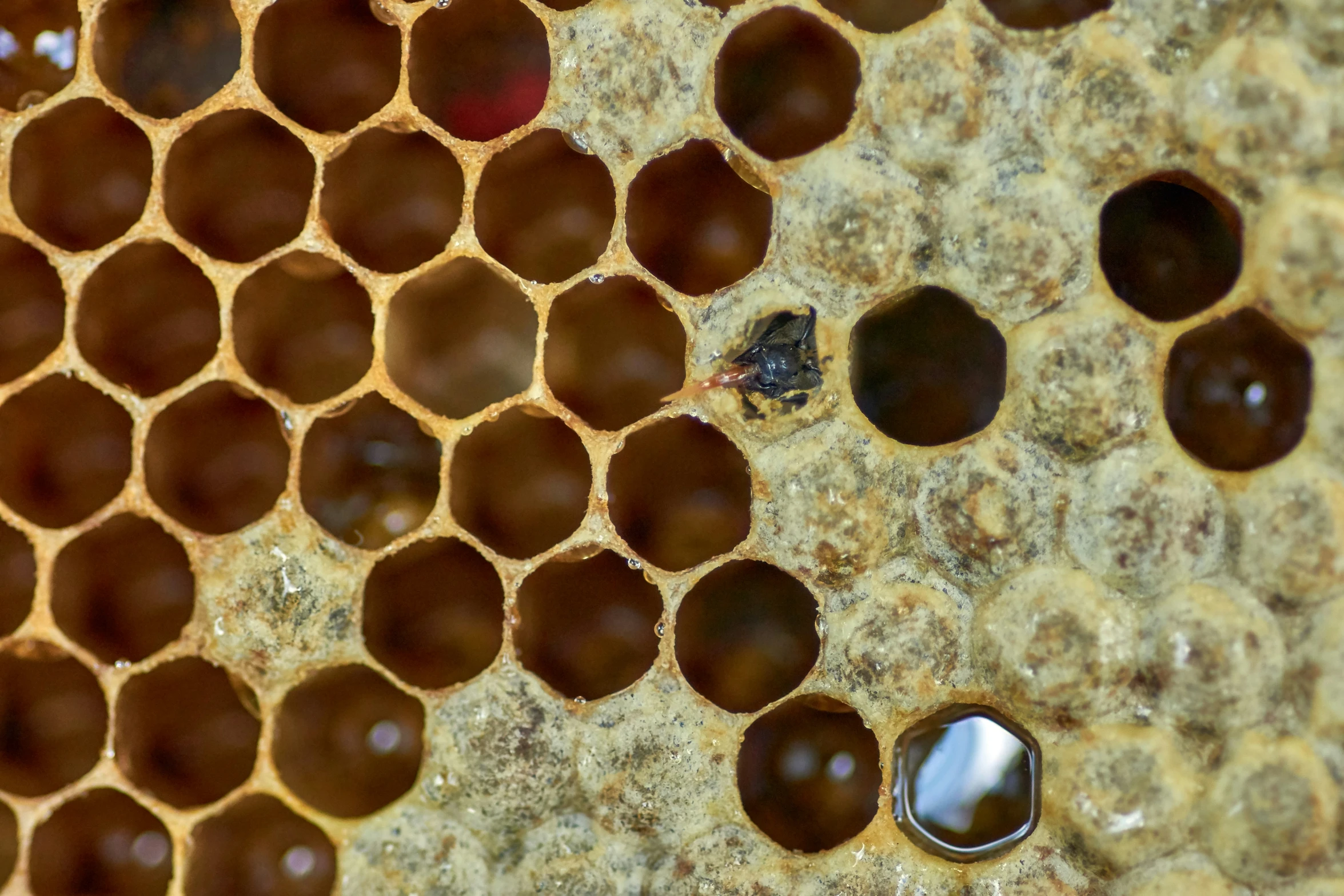 some holes in the middle of a wood structure