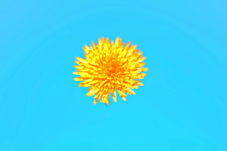 a large yellow dandelion floating in the blue sky