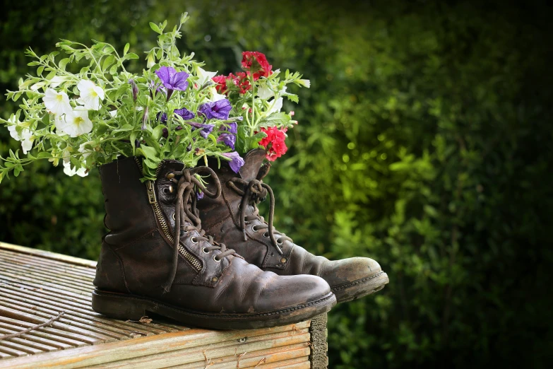 an old boot holds up a bouquet of pansies