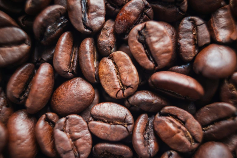 this coffee bean is almost the size and size of the ground