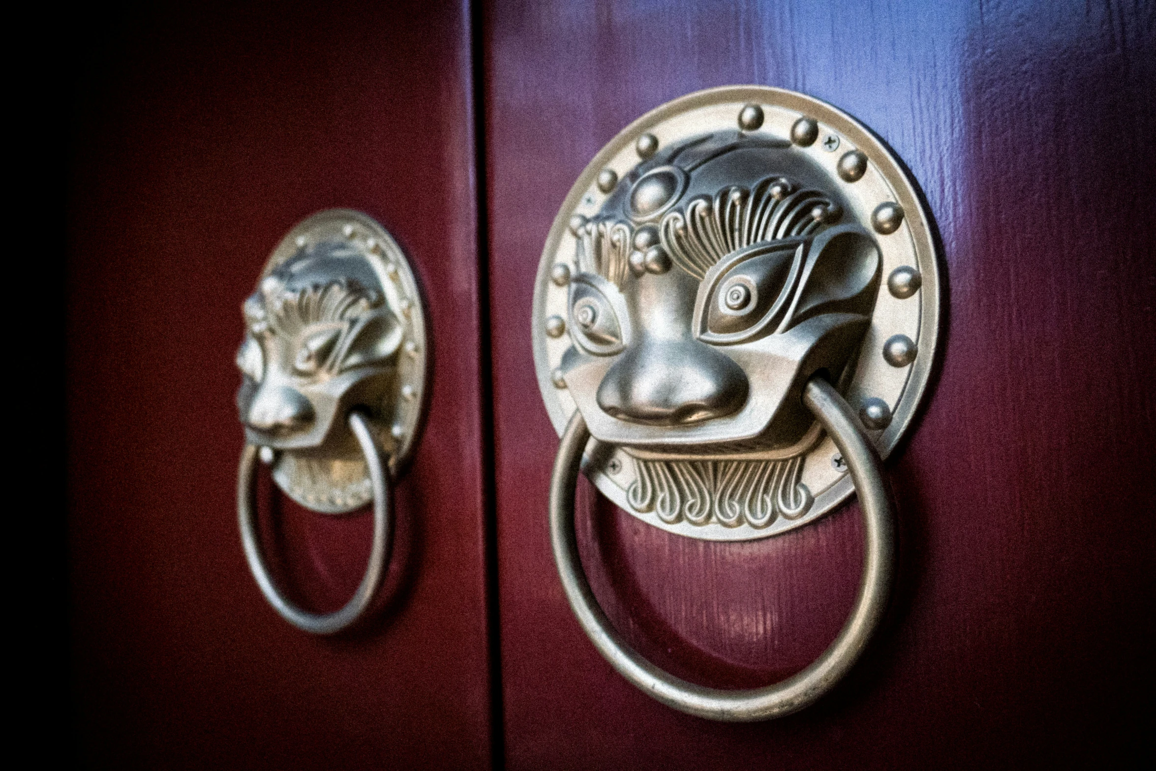 a door knocker that has a lion head on it