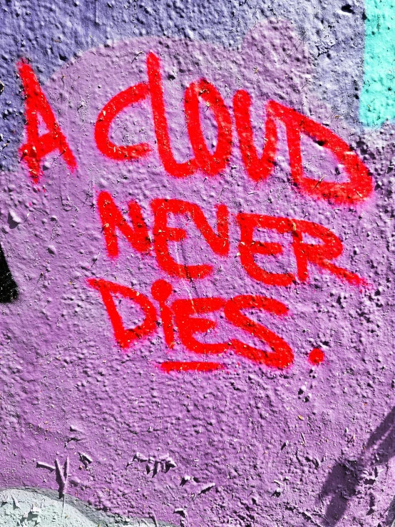 graffiti written on the side of the building that says, a dumb never dies