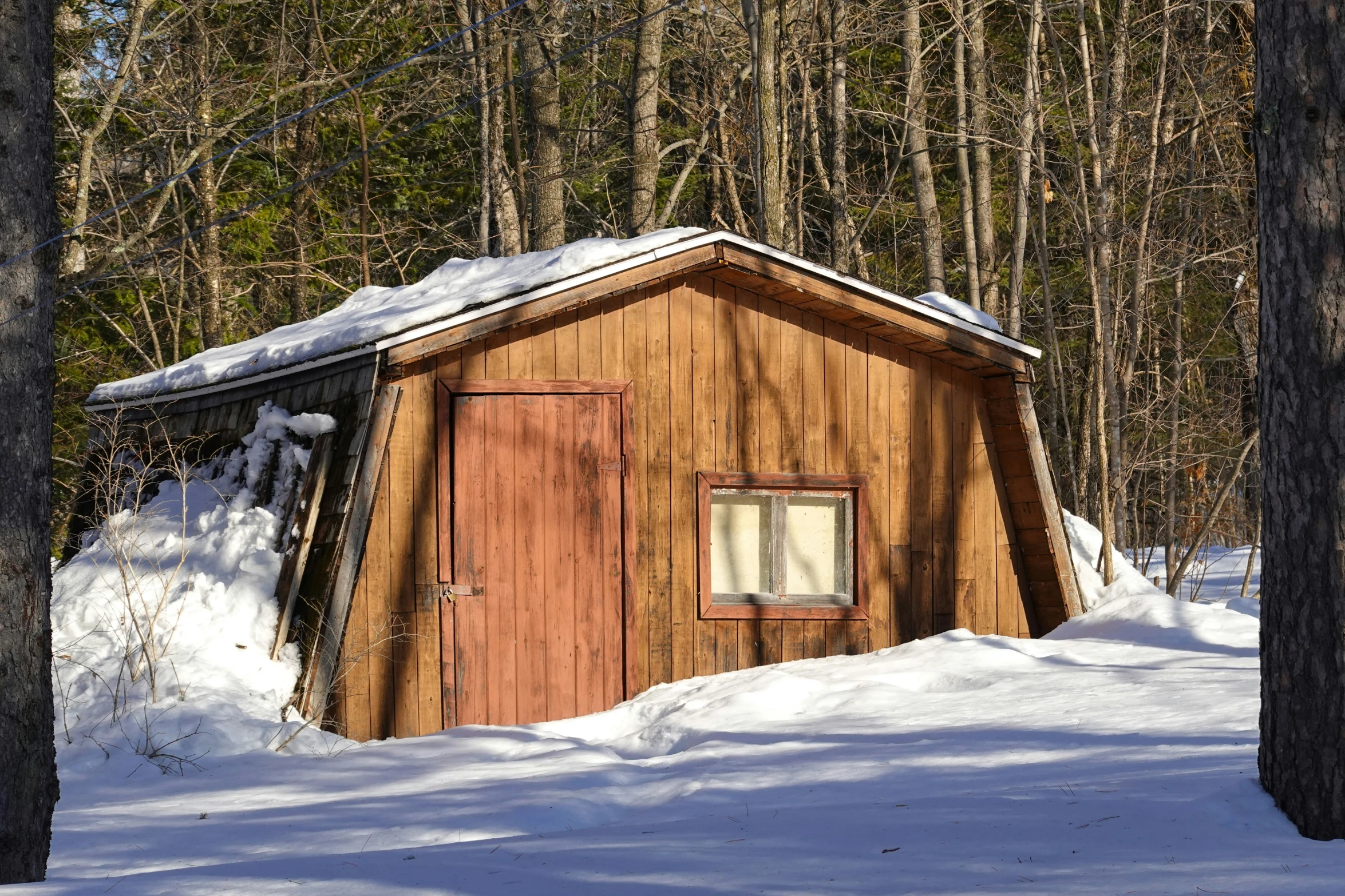 a small wooden structure sitting in the middle of a forest