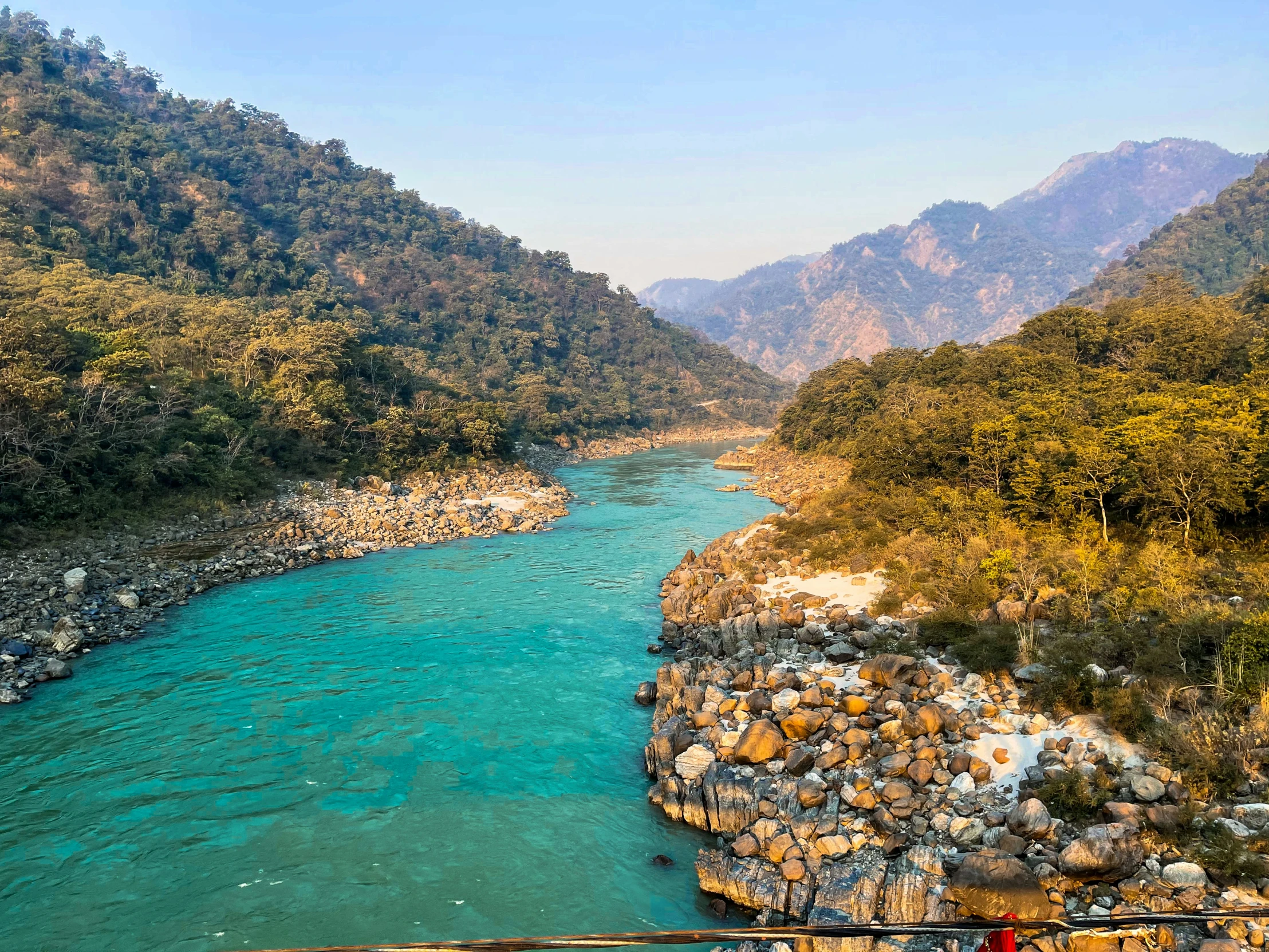 a view of a river that is next to a forest