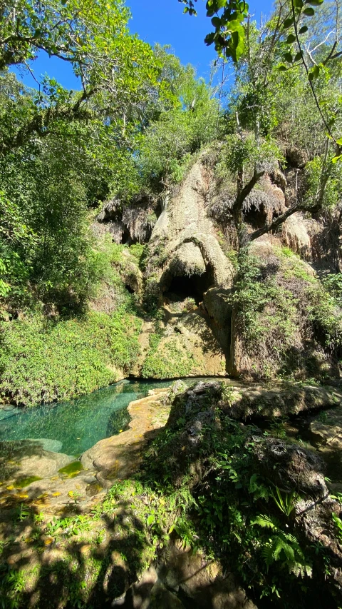 some very pretty green trees and rocks by a stream