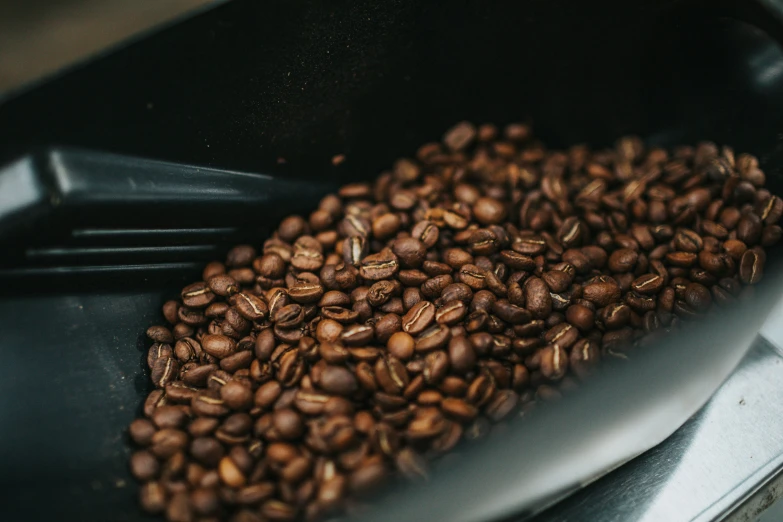 roasted coffee beans on a serving platter ready for roasting