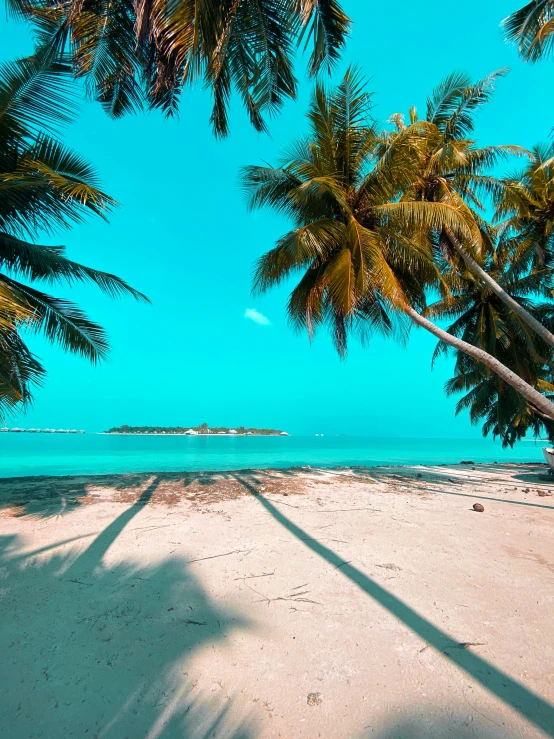 this is the view of a tropical beach that looks to be empty