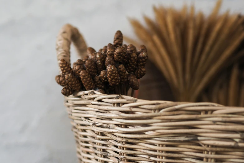 a wicker basket holds a bunch of pine cones