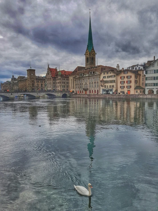 a single swan on the water in front of a city