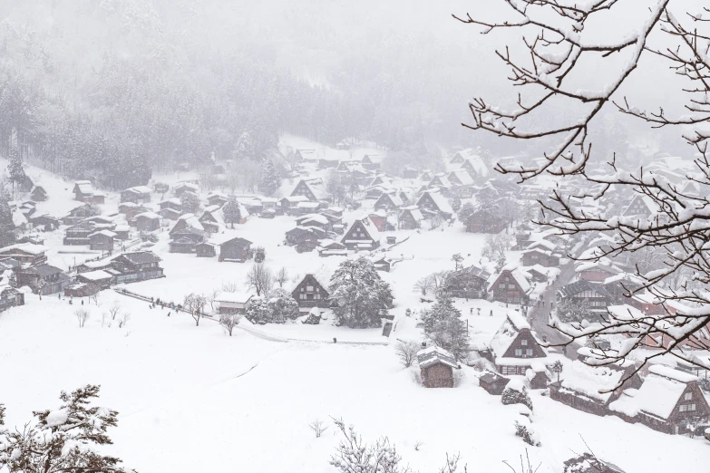 a large snowy hill with houses and trees on it