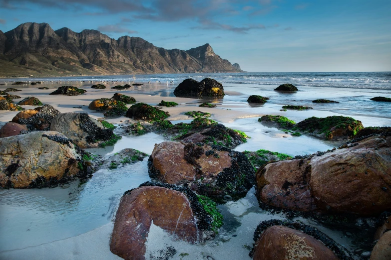 rocks sitting on the shore near a beach