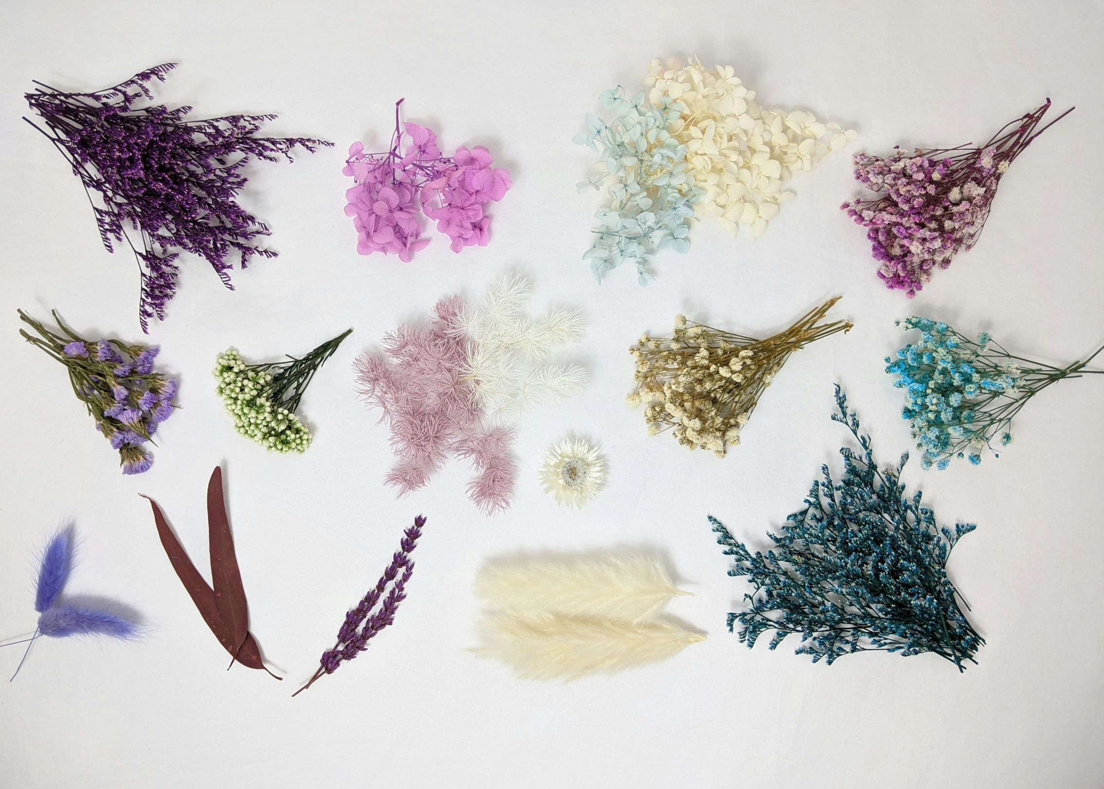 flowers displayed and dried on white surface, with one missing