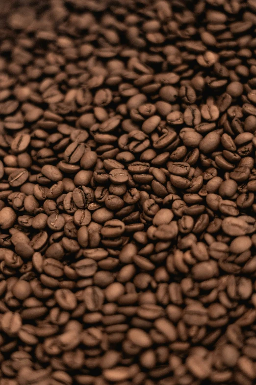 this is some coffee beans that are still in it