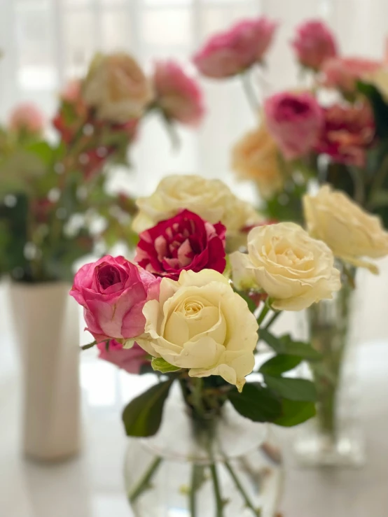 small white and pink flowers in a vase