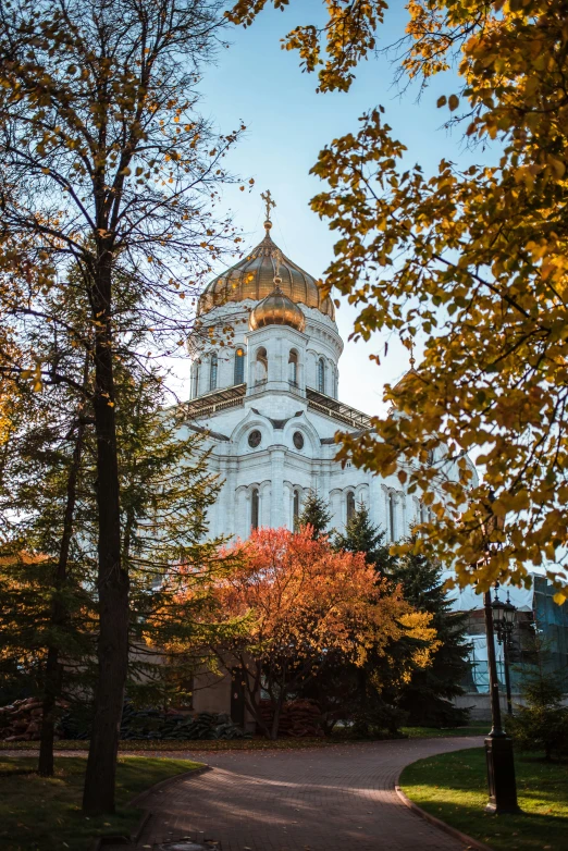 a church surrounded by trees with lots of leaves