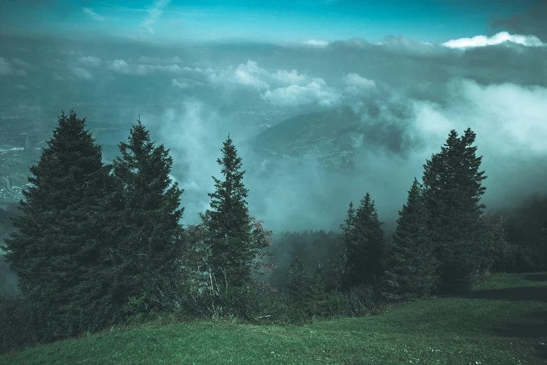 a bunch of trees with clouds in the background