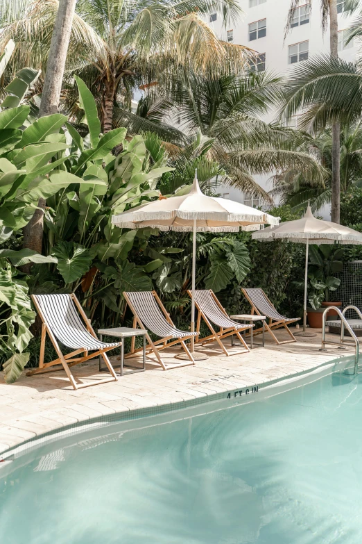 a view of an outdoor swimming pool with chaise lounge chairs and palm trees