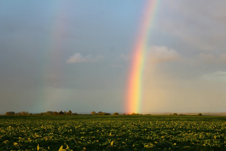 a rainbow that is in the sky over a field