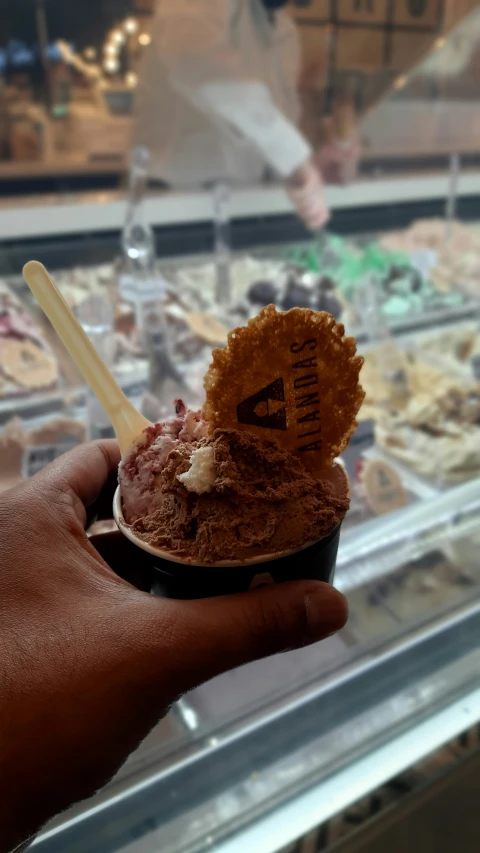 a hand holds an ice cream container in a shop