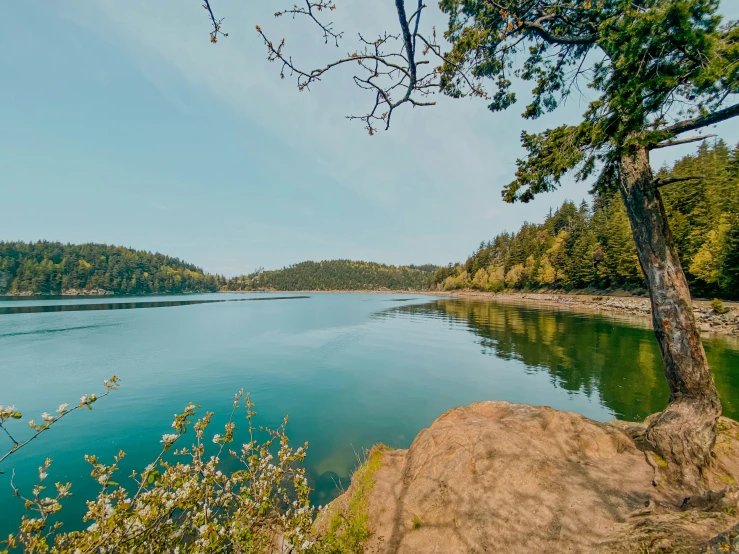 a lake surrounded by green trees in front of a blue sky