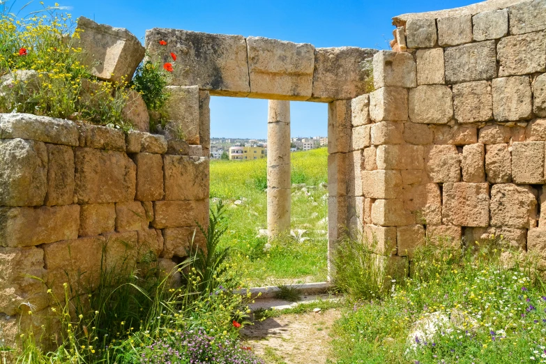 the ruins have plants growing out of it