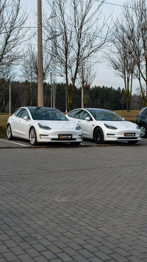 there are three white cars in this parking lot