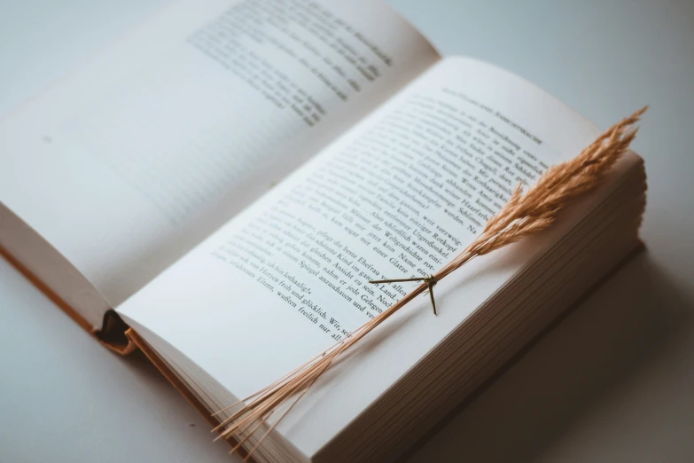 the book is open on a table with grass